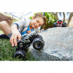Hot Wheels Monster Trucks, Macchinina Scala 1:24, Assortimento/Modello Casuale, Giocattolo per Bambini 4 + anni, FYJ83)