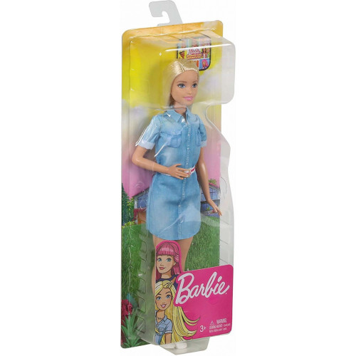 Barbie Dreamhouse Adventure