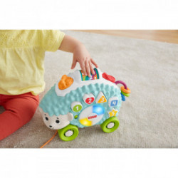 Fisher-Price Parlamici Baby Riccio Forme e Colori, Giocattolo Educativo con Luci, Suoni e Musica, dai 9+ Mesi, GJB09