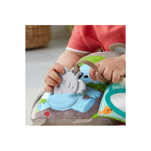 Fisher-Price GJD37 libro per bambini