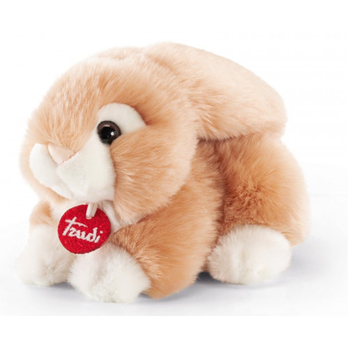 Coniglio Jeremy sdraiato