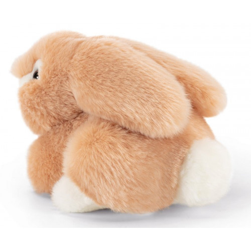 Coniglio Jeremy sdraiato