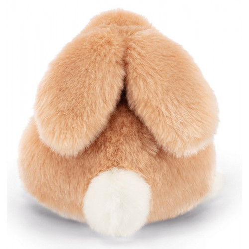 Coniglio Jeremy sdraiato