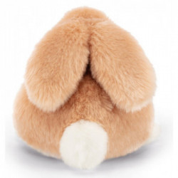 Coniglio Jeremy sdraiato