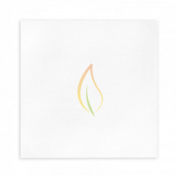 Giabri Heat - 861 - Riscaldatore a infrarossi Ecosun 300K+/300W bianco 59,5x59,5 cm