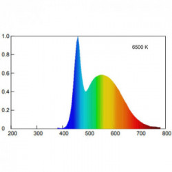 Beghelli LiteLED.6 Lampadina a risparmio energetico 7 W E14 F