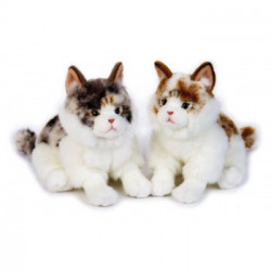 BUFFY GATTO NORVEGESE MY PUPPY