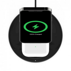 Belkin BOOST CHARGE PRO Nero Interno
