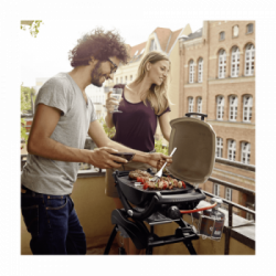 Weber Q 1000 Titanium - Barbecue a Gas da Tavolo, 1 Bruciatore, Modello 50060053