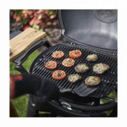 Weber Q 2200 Stand - Barbecue a Gas con Supporto, 1 Bruciatore, Modello 54010329, Nero