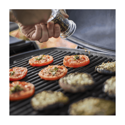 Weber Q 2200 Stand - Barbecue a Gas con...