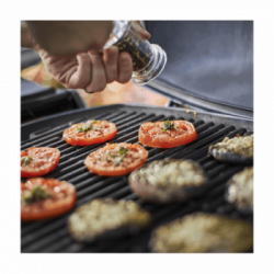 Weber Q 2200 Stand - Barbecue a Gas con Supporto, 1 Bruciatore, Modello 54010329, Nero