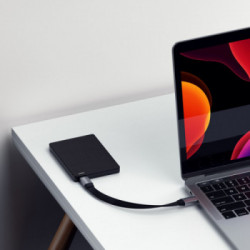 Satechi ST-TCCFC cavo USB 0,228 m USB 3.2 Gen 2 (3.1 Gen 2) USB C Nero, Grigio