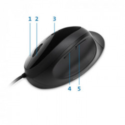 Kensington Pro Fit mouse USB tipo A Ottico 3200 DPI Mano destra