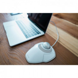 Kensington Orbit mouse Ambidestro USB tipo A Trackball