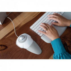 Kensington Orbit mouse Ambidestro USB tipo A Trackball