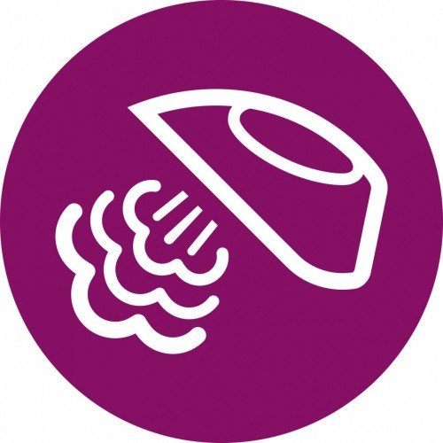 Philips GC1742/40 EasySpeed - Ferro da Stiro,...