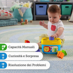 FisherPrice FFC84 - Blocchi Assortiti