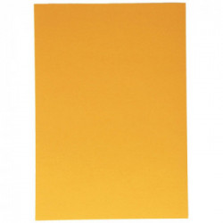 Canson 200040175 cartone 185 g/m²