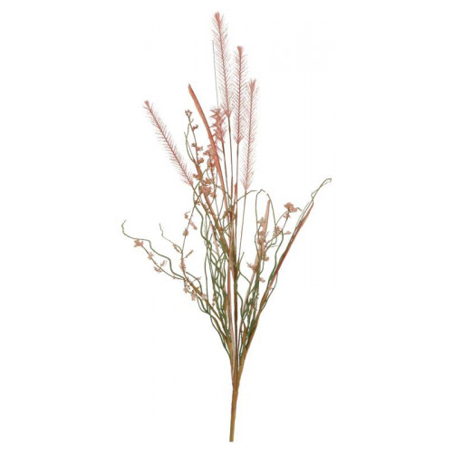 erica salmone essiccata