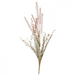 erica salmone essiccata