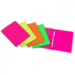 Favorit 400066847 raccoglitore ad anelli 200 x 300 mm Verde, Arancione, Rosa, Giallo