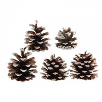 PIGNE DECORATE BIANCO