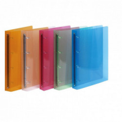 Favorit 400116633 raccoglitore ad anelli A4 Multicolore