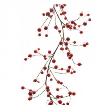 ghirlanda con bacche in...