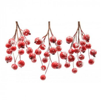 ghirlanda con bacche morbide