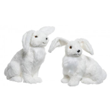 LEPRE ARTICA BIANCA 2ASS