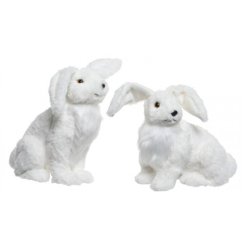 LEPRE ARTICA BIANCA 2ASS