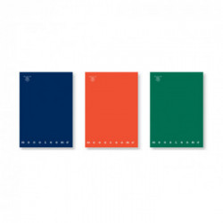 Pigna Monocromo quaderno per scrivere Blu, Verde, Arancione A4 96 fogli