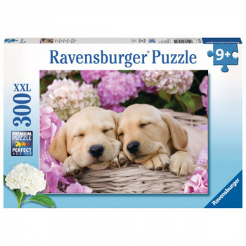 Ravensburger 4005556132355