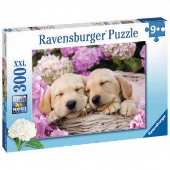 Ravensburger 4005556132355 2