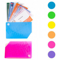 PORTA CARD 10 TASCHE RIGATO COL.ASS.