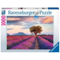 Ravensburger 16724 puzzle 1000 pezzo(i)
