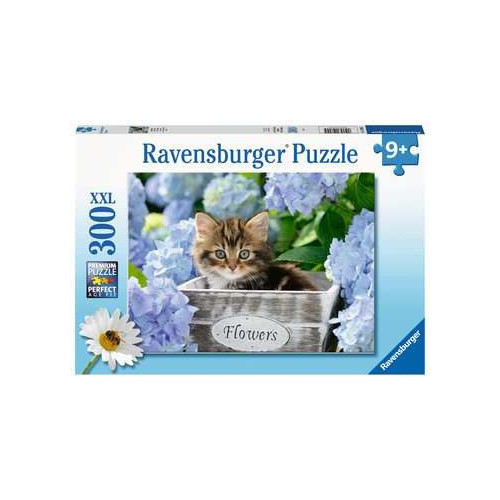Ravensburger 00.012.894 300 pz