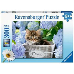 Ravensburger 00.012.894 300 pz