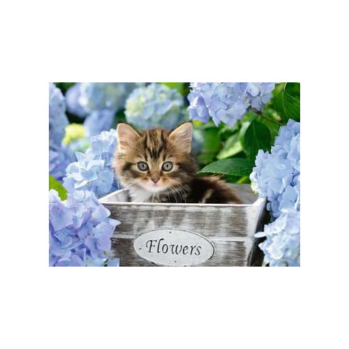 Ravensburger 00.012.894 300 pz