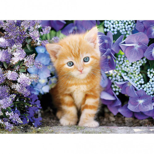 Clementoni 30415 - Ginger Cat in Flowers 500pz