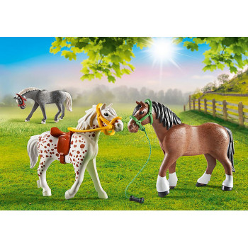 Playmobil 70683 set di... 2