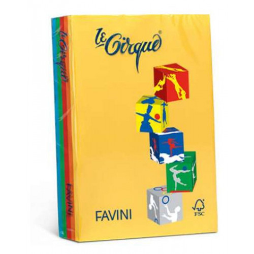 RISMA LE CIRQUE 80G MIX FORTI A4