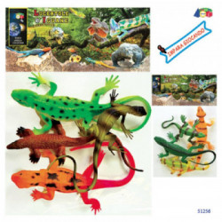 BUSTA LUCERTOLE E IGUANE