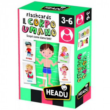 Flashcards del Corpo Umano