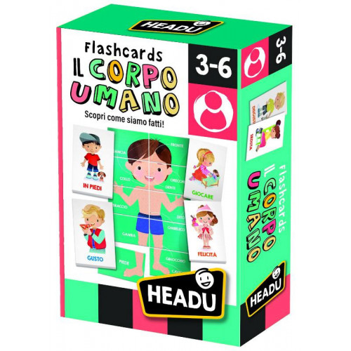 Flashcards del Corpo Umano