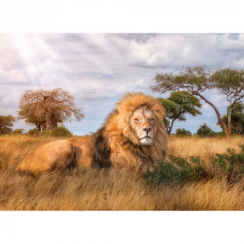 Clementoni The King Puzzle...