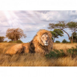 Clementoni The King Puzzle 1000 pezzo(i)