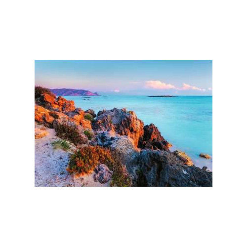 Ravensburger 14980 puzzle 1000 pezzo(i)