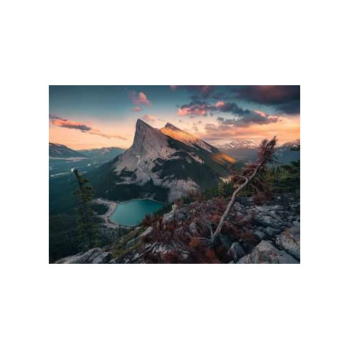 Ravensburger 15011 puzzle 1000 pezzo(i)